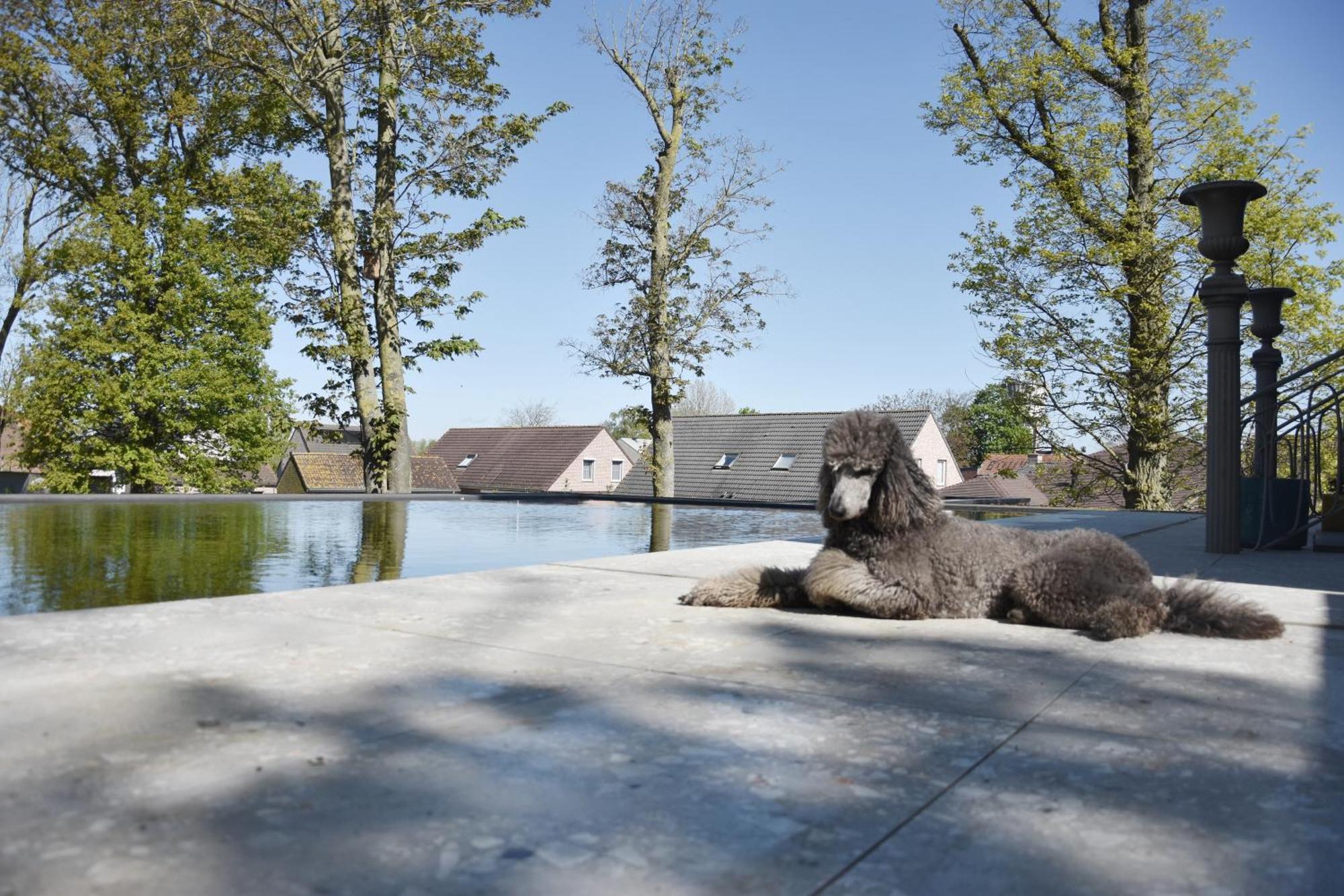 Terp Bed & Breakfast Poperinge Eksteriør bilde